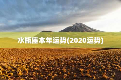 水瓶座本年运势(2020运势)