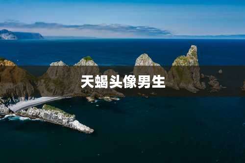 天蝎头像男生