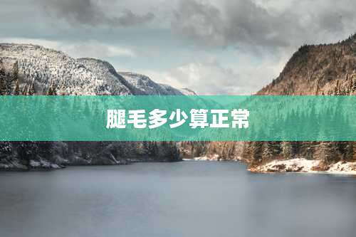 腿毛多少算正常