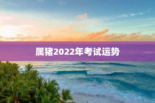 属猪2022年考试运势