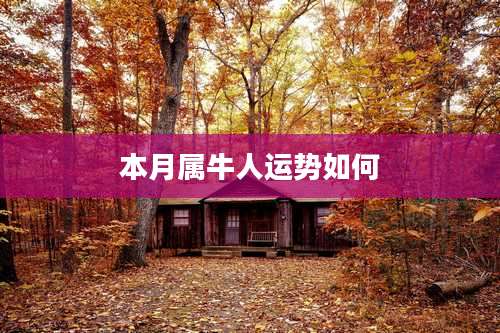 本月属牛人运势如何