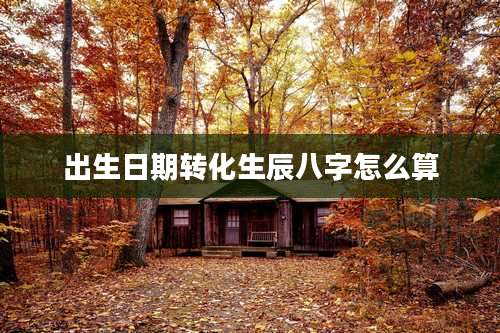 出生日期转化生辰八字怎么算