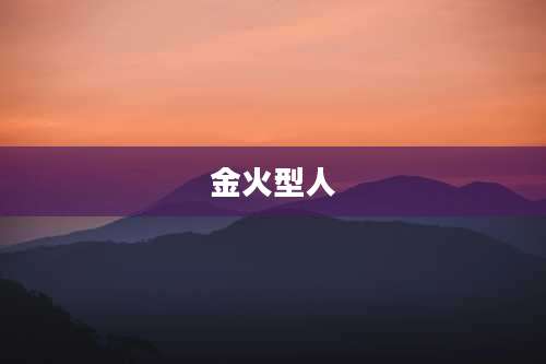 金火型人