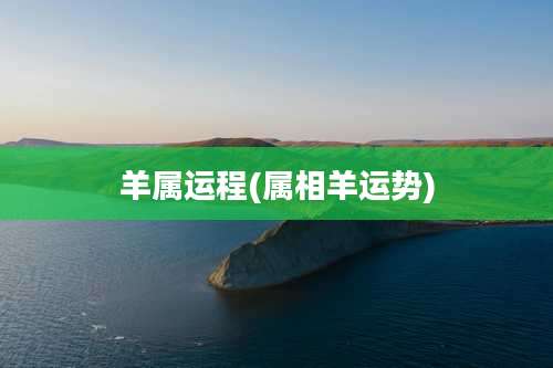 羊属运程(属相羊运势)