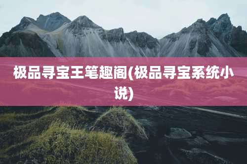 极品寻宝王笔趣阁(极品寻宝系统小说)