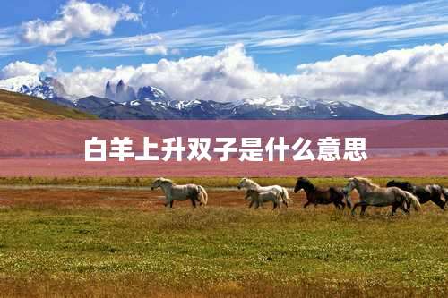白羊上升双子是什么意思