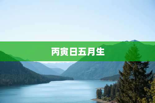 丙寅日五月生