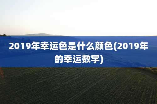 2019年幸运色是什么颜色(2019年的幸运数字)