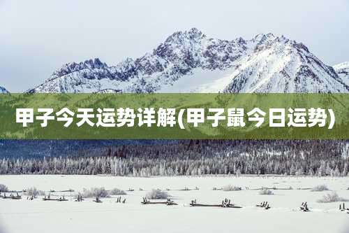 甲子今天运势详解(甲子鼠今日运势)