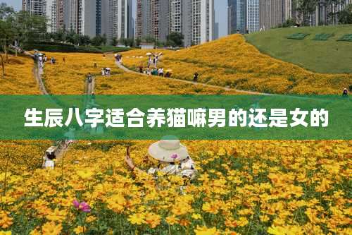 生辰八字适合养猫嘛男的还是女的
