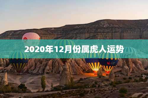 2020年12月份属虎人运势