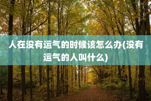 人在没有运气的时候该怎么办(没有运气的人叫什么)