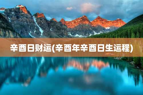 辛酉日财运(辛酉年辛酉日生运程)