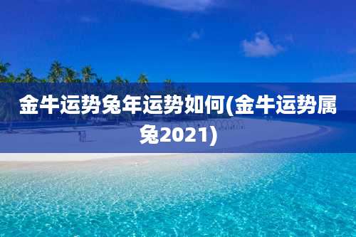 金牛运势兔年运势如何(金牛运势属兔2021)