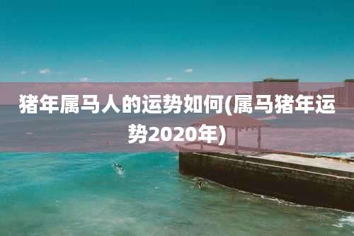 猪年属马人的运势如何(属马猪年运势2020年)