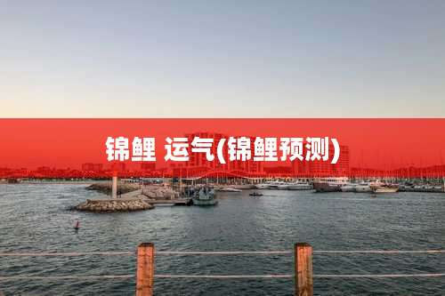锦鲤 运气(锦鲤预测)