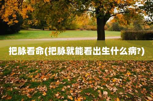 把脉看命(把脉就能看出生什么病?)