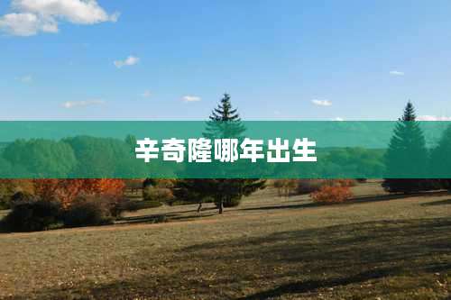 辛奇隆哪年出生