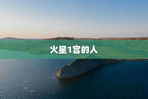 火星1宫的人