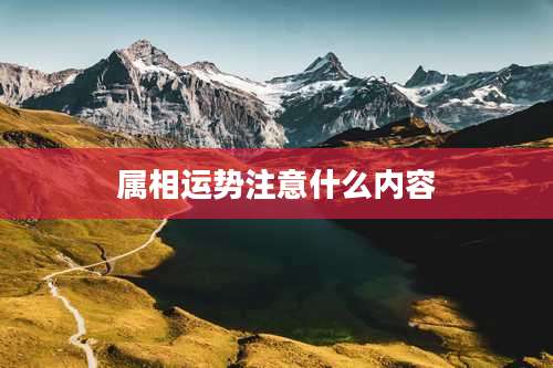 属相运势注意什么内容