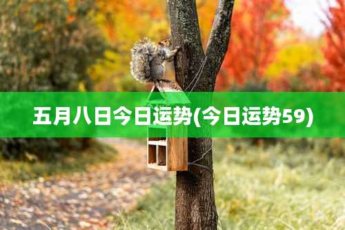 五月八日今日运势(今日运势59)