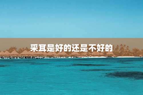 采耳是好的还是不好的