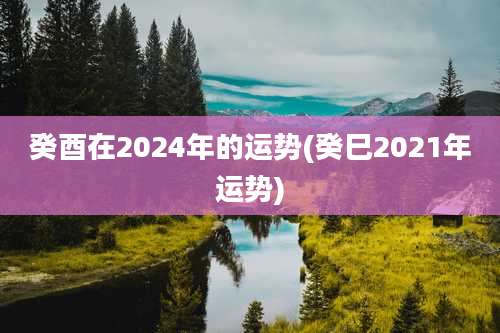 癸酉在2024年的运势(癸巳2021年运势)