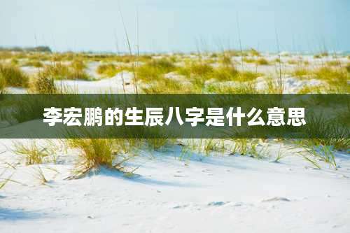 李宏鹏的生辰八字是什么意思