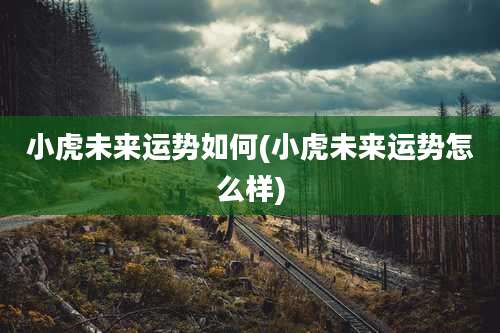 小虎未来运势如何(小虎未来运势怎么样)