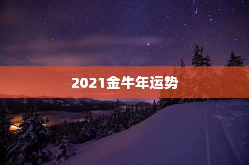 2021金牛年运势
