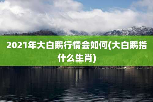 2021年大白鹅行情会如何(大白鹅指什么生肖)