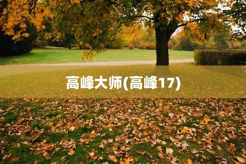 高峰大师(高峰17)