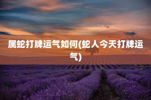 属蛇打牌运气如何(蛇人今天打牌运气)