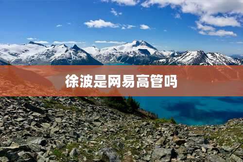 徐波是网易高管吗