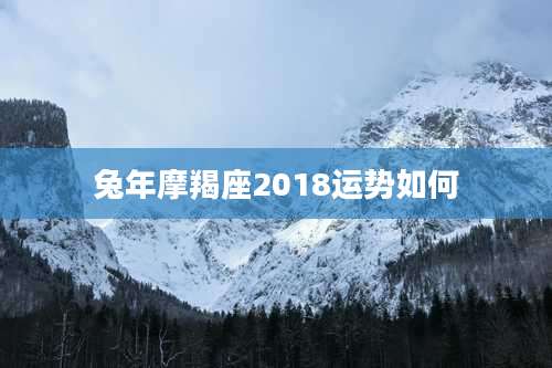 兔年摩羯座2018运势如何