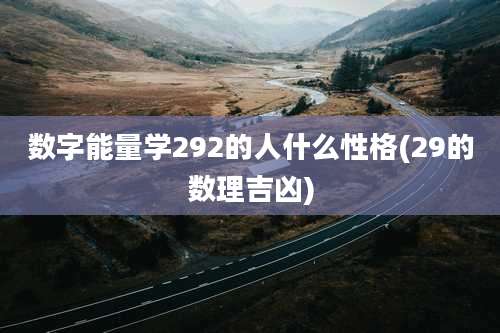 数字能量学292的人什么性格(29的数理吉凶)