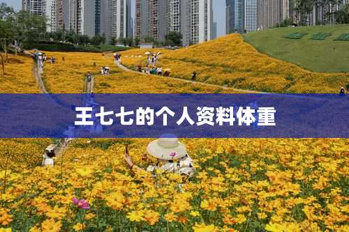 王七七的个人资料体重