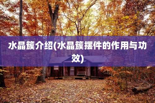 水晶簇介绍(水晶簇摆件的作用与功效)