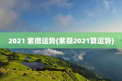 2021 紫微运势(紫薇2021算运势)