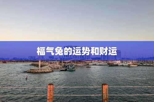 福气兔的运势和财运