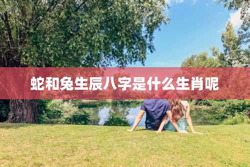 蛇和兔生辰八字是什么生肖呢