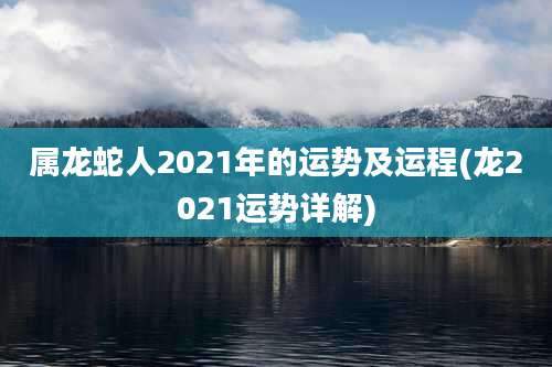 属龙蛇人2021年的运势及运程(龙2021运势详解)