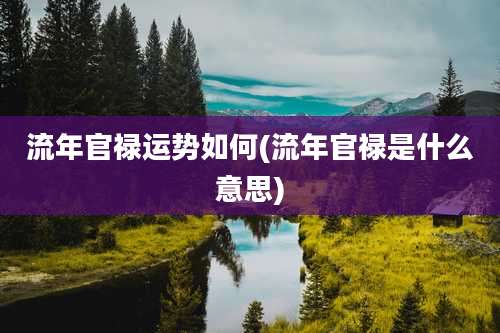 流年官禄运势如何(流年官禄是什么意思)