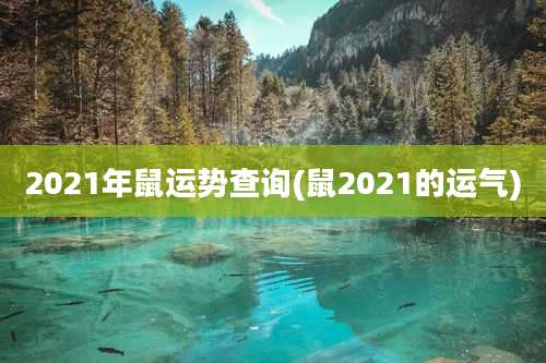 2021年鼠运势查询(鼠2021的运气)