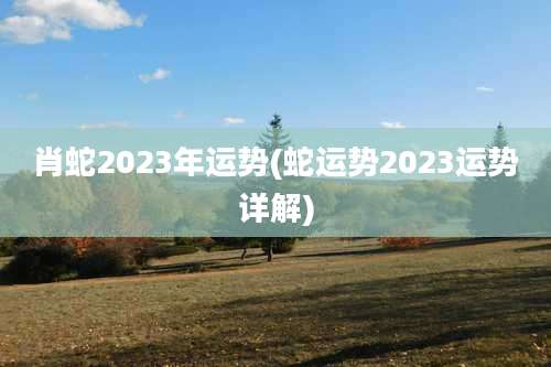 肖蛇2023年运势(蛇运势2023运势详解)