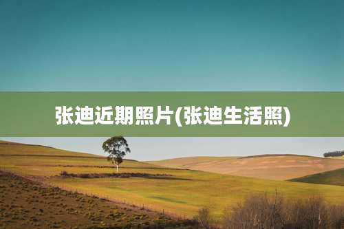 张迪近期照片(张迪生活照)