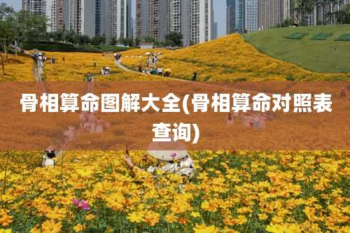 骨相算命图解大全(骨相算命对照表查询)