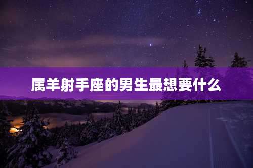 属羊射手座的男生最想要什么