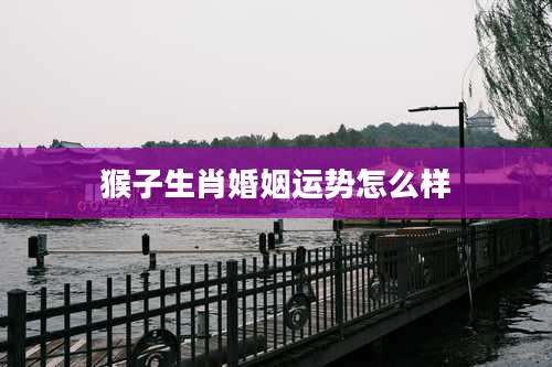 猴子生肖婚姻运势怎么样