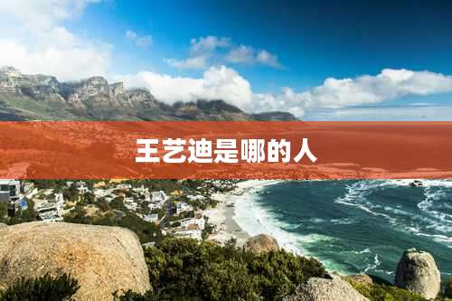 王艺迪是哪的人